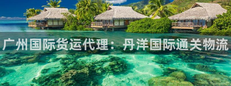 尊龙游戏官网：广州国际货运代理：丹洋国际通关物流