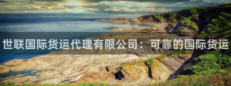 尊龙凯时网站是什么地方人开的：世联国际货运代理有限公司：