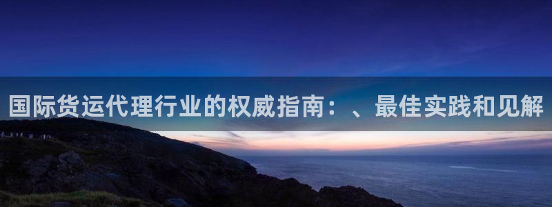 尊龙人生就是博旧版网址：国际货运代理行业的权威指南：、最