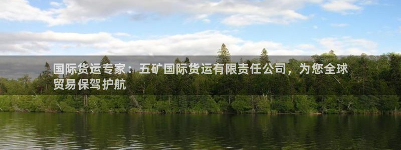 尊龙165：国际货运专家：五矿国际货运有限责任公司，为您