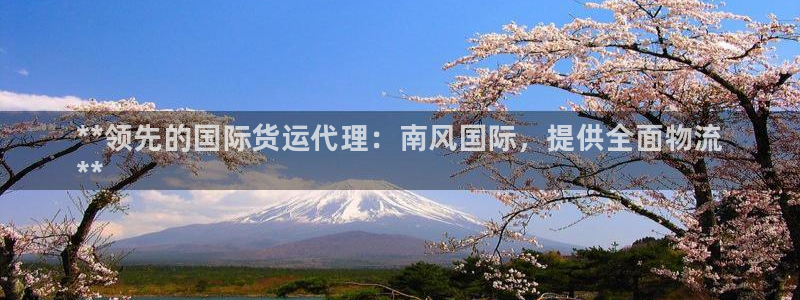 尊龙凯时人生就是博·(中国)官网：**领先的国际货运代理