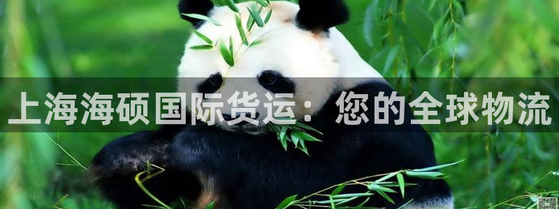 尊龙凯时人生就是搏技术实力