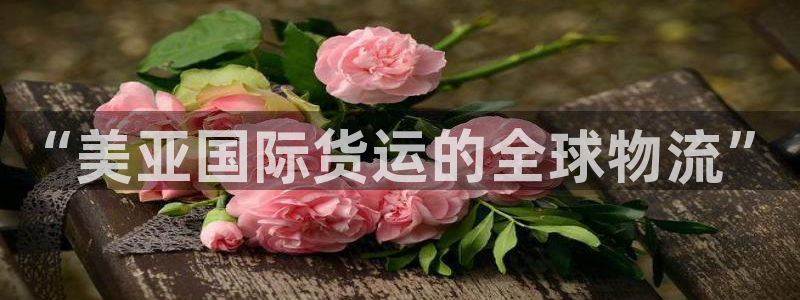 尊龙凯时产品种类