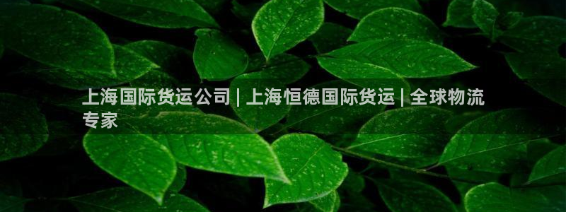 尊龙凯时人生就是博官网登录：上海国际货运公司 | 上海恒
