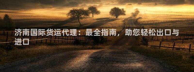 尊龙d88手机app免费下载：济南国际货运代理：最全指南