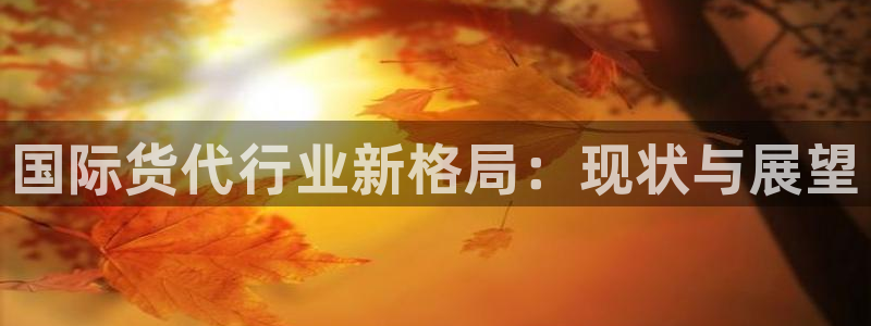 尊龙凯时网站不让提款：国际货代行业新格局：现状与展望
